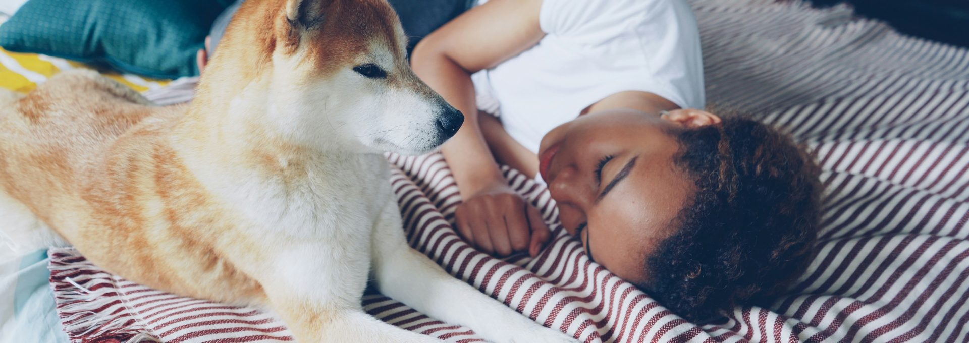A dog naps beside a sleeping person